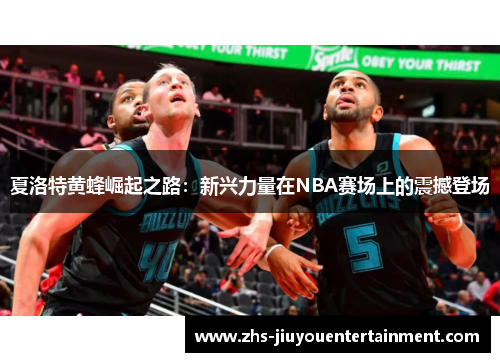 夏洛特黄蜂崛起之路：新兴力量在NBA赛场上的震撼登场